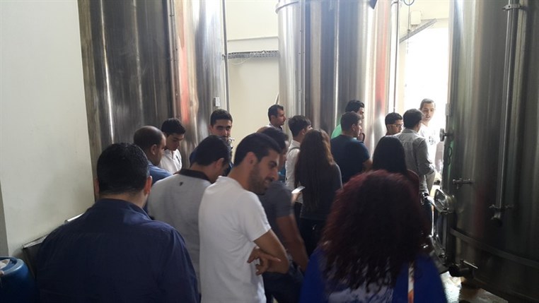 Wine Tasting at Domaine Wardy 